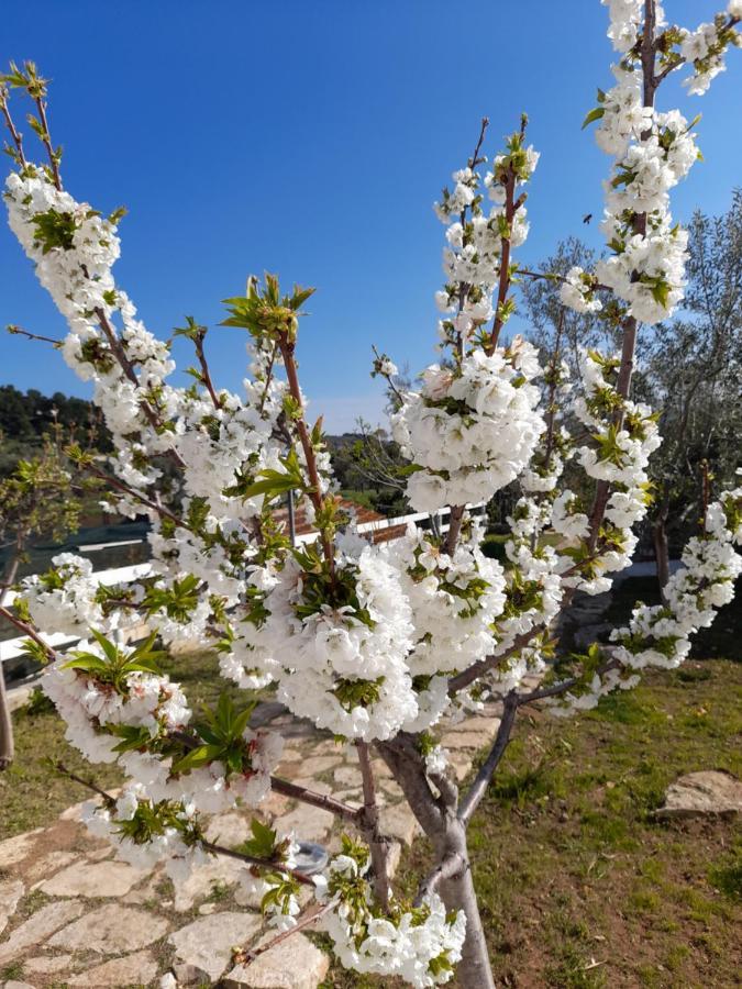 La Casa Al Mare Villa Peschici Dış mekan fotoğraf